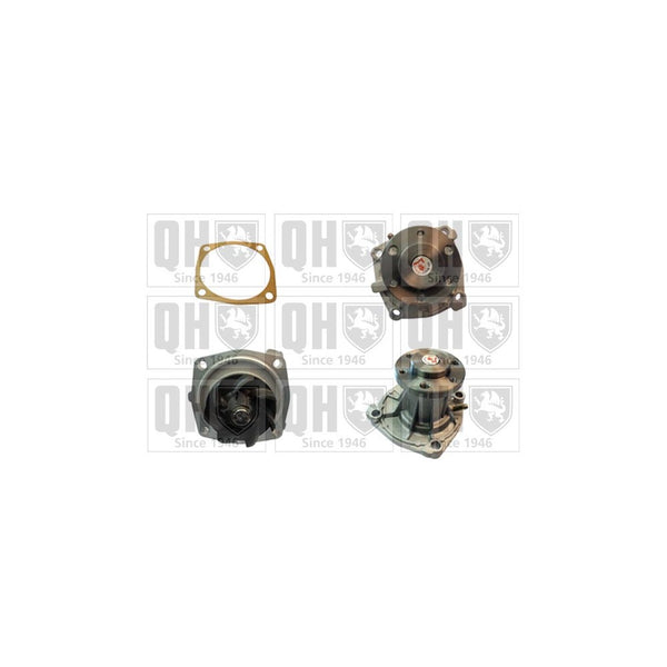 QH QCP3619 Water Pump
