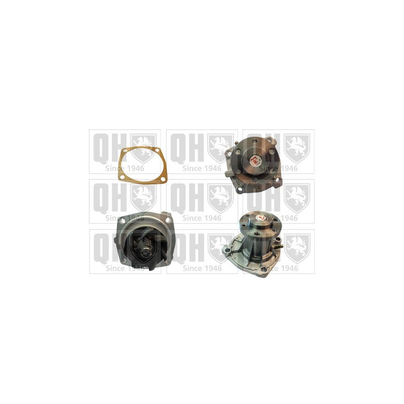 QH QCP3619 Water Pump