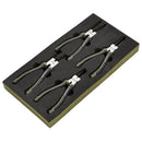 Draper Expert 4PC Circlip Plier Set EVA - 09930