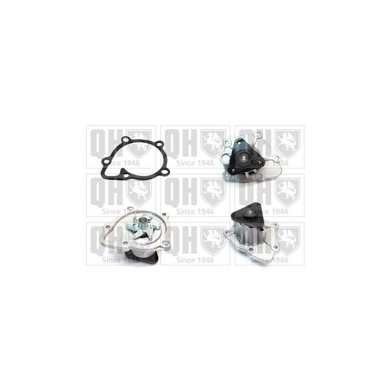 QH QCP3831 Water Pump