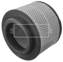 Borg & Beck Air Filter - BFA2107