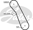 Gates PowerGrip Belt - 5541XS