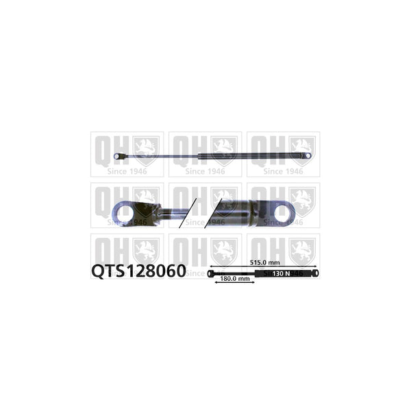 QH QTS128060 Gas Spring