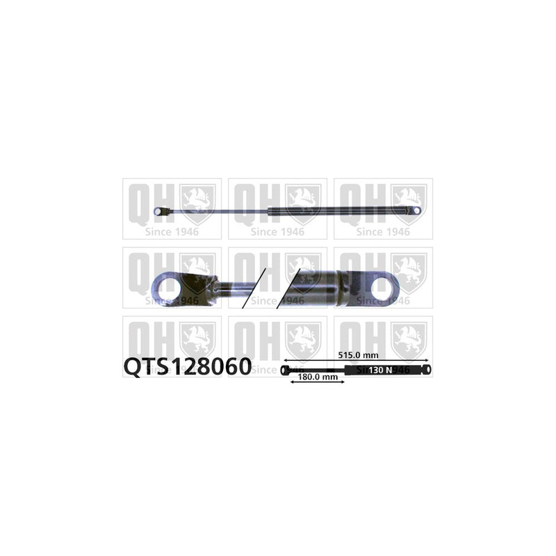 QH QTS128060 Gas Spring