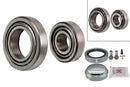 FAG Wheel Bearing Kit - 713667370