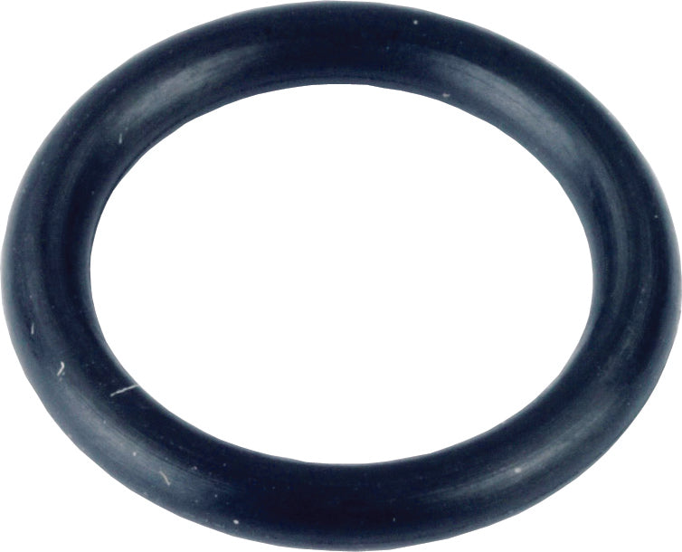 O' Rings - 625454 x50