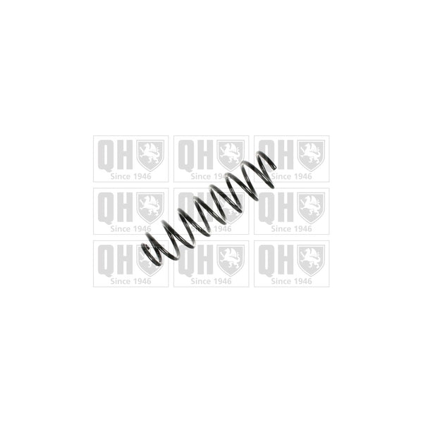 QH QCS5447 Coil Spring