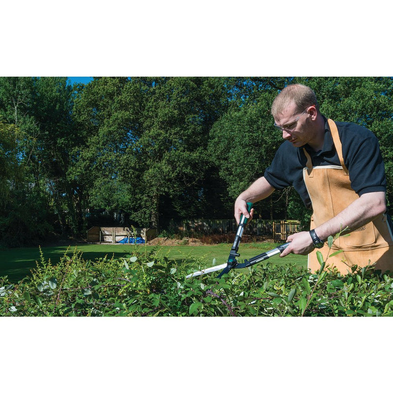 Safety Harness