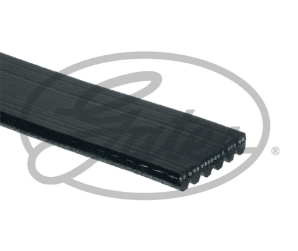 Gates V-Ribbed Belt - 6PK989SF