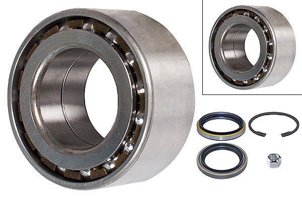 FAG Wheel Bearing Kit - 713619090