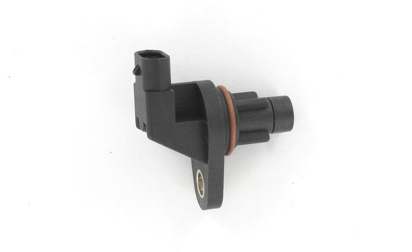 Intermotor Cam Sensor - 17298