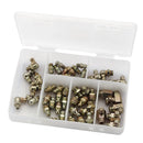 Draper Box Assorted Grease Nipples - 43961