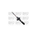 QH QAG178690 Shock Absorber