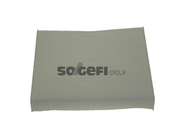 Fram Cabin / Pollen Filter - CF10062