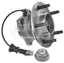 Borg & Beck Wheel Bearing Kit Part No -BWK1193