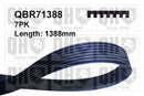 QH V-Ribbed Drive Belt - QBR71388