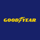 Goodyear - Goodyear Eagle F1 A/S3 100Y Rof(Moe/Bmw) - 2454518Gy3Y