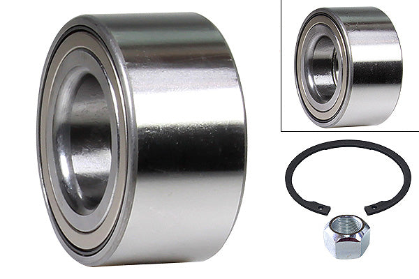 FAG Wheel Bearing Kit - 713619780