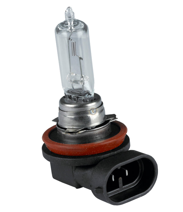 Halogen Bulbs - H9 Cap PGJ19-5  - 740009