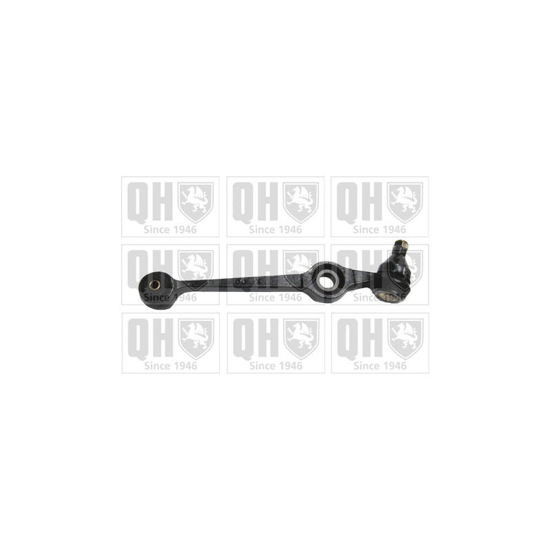 QH QSJ1201S Suspension Arm - Front Lower LH & RH