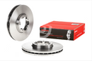Brembo Brake Disc Single - 09.C243.10