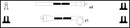Lucas Ignition Lead Set - LUC4139