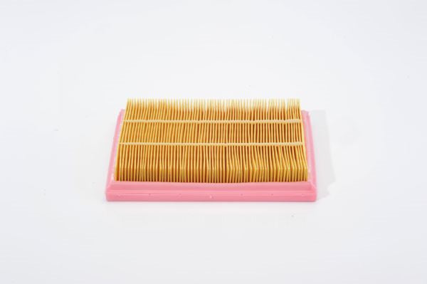 BOSCH Air Filter - 1457433593