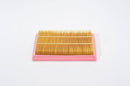 BOSCH Air Filter - 1457433593