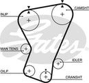 Gates PowerGrip Belt - 5065