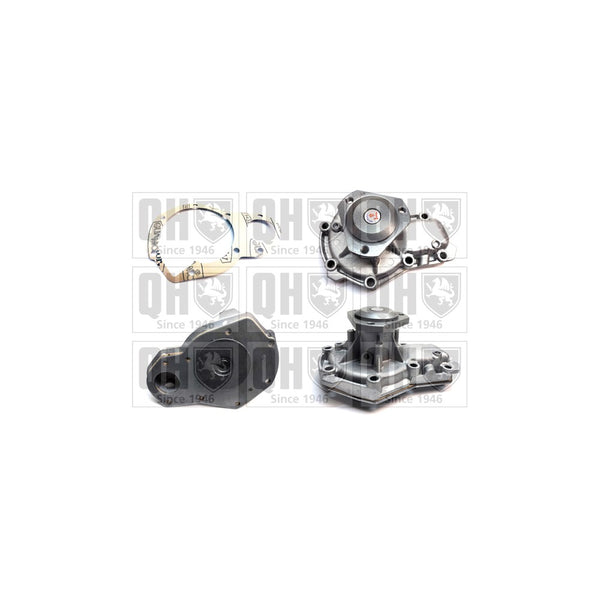 QH QCP3186 Water Pump