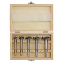 Draper Forstner Bit Set - 5pcs - 08928