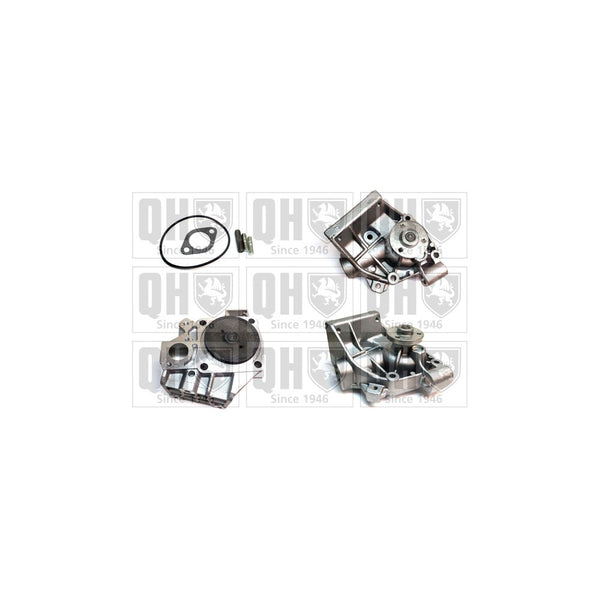 QH QCP2449 Water Pump