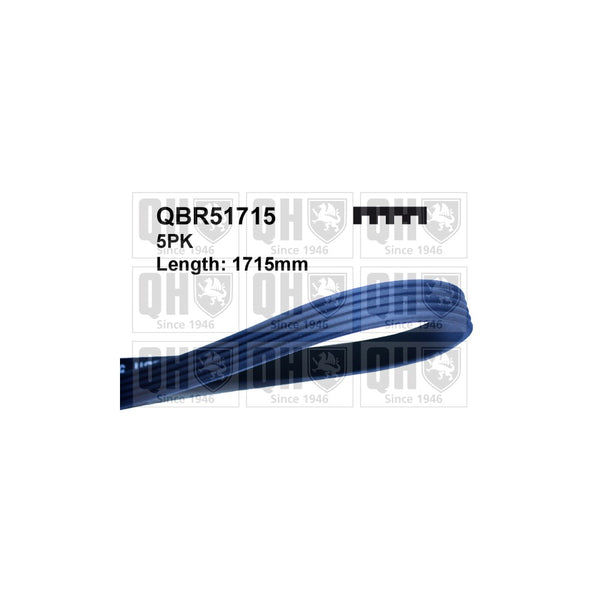 QH QBR51715 Multi-ribbed belt