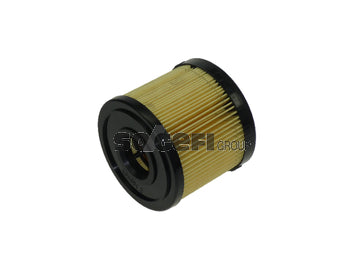 Fram Fuel Filter - CG8953ECO