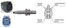 Intermotor Oxygen Sensor - 64739