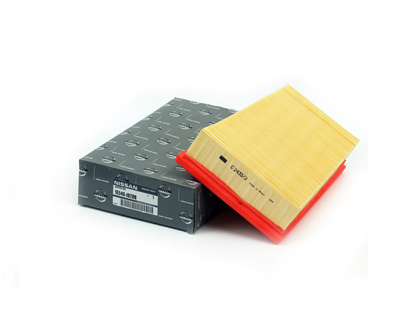 Nissan Air Filter - 16546JD20B