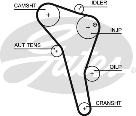 Gates PowerGrip Kit - K015622XS
