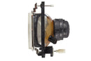 HELLA 1AE 003 427-161 Halogen-Insert, headlight - 24/12V