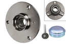 FAG Wheel Bearing Kit - 713667330