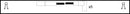 Intermotor Ignition Lead Set - 73800
