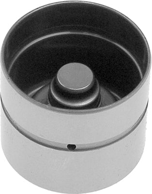 INA Tappet Part No - 420011810