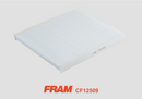Fram Cabin / Pollen Filter - CF12509