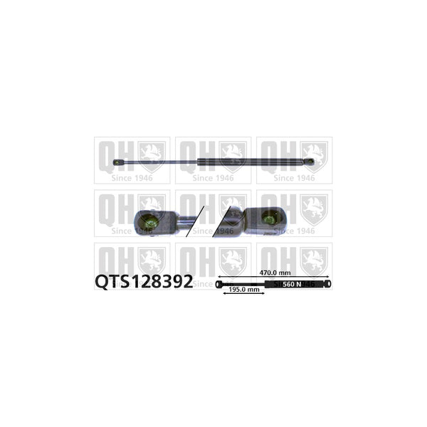 QH QTS128392 Gas Spring