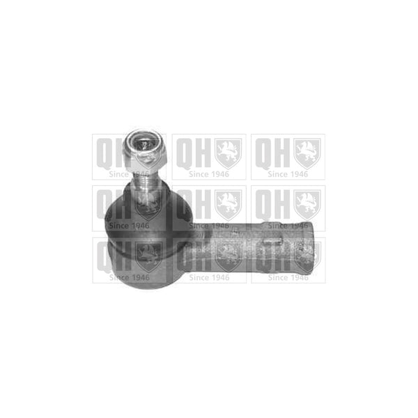 QH QBR3788 Drive Belt