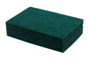 Scouring Pads - Nylon  - 895374 x10