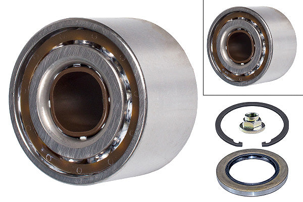 FAG Wheel Bearing Kit - 713618930