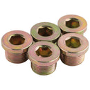 Draper PK5 Replace.Sump Bolt M22x1.5 - 85536