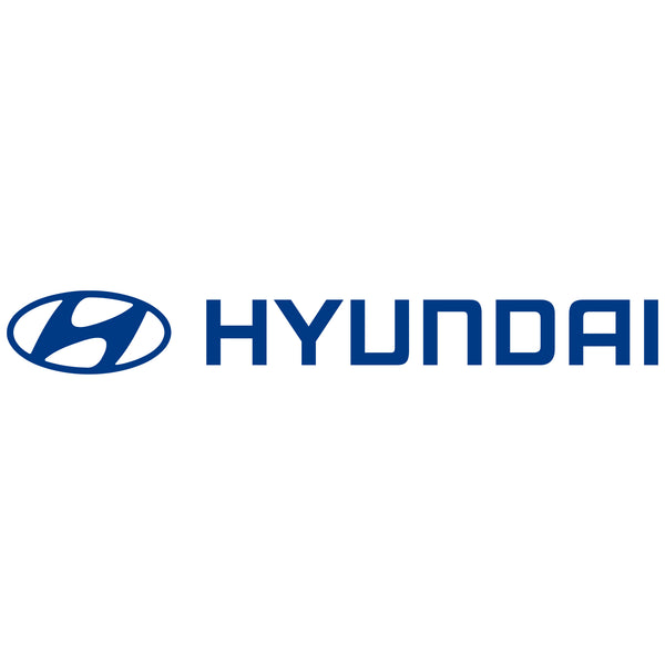 Genuine Hyundai Panel Assy-Rear Door - Y77004D3000