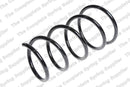 Kilen Coil Spring (Rh2947) - 22054