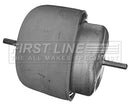 First Line Engine Mounting  - FEM3876